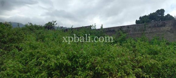 Grundstück in Lovina, Indonesia 3800m², Nr. 4104 6