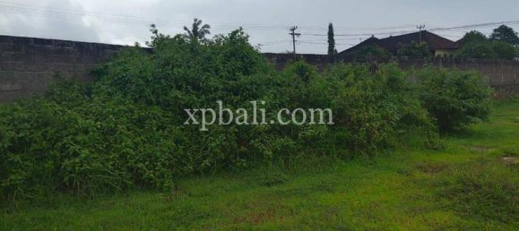 Grundstück in Lovina, Indonesia 3800m², Nr. 4104 3