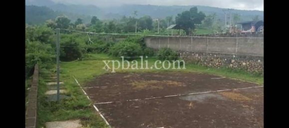 Grundstück in Lovina, Indonesia 3800m², Nr. 4104 4