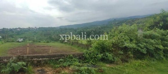 Grundstück in Lovina, Indonesia 3800m², Nr. 4104 10