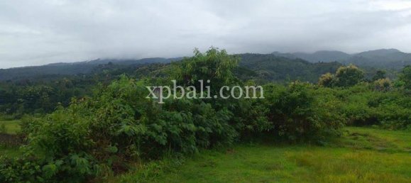 Grundstück in Lovina, Indonesia 3800m², Nr. 4104 9