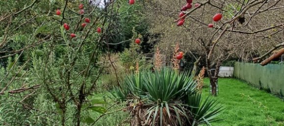 Casa T1 em Issoudun, France N.º 225987 4