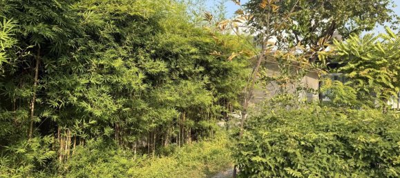 Terreno en Nonthaburi, Thailand 484 m² No. 73481 2