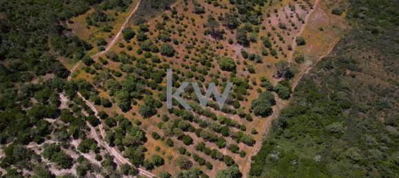 2 bedrooms House in Budens, Portugal No. 57263 14