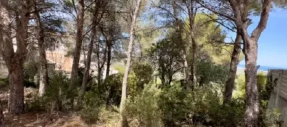 Terreno en València, Spain 1313 m² No. 190613 6