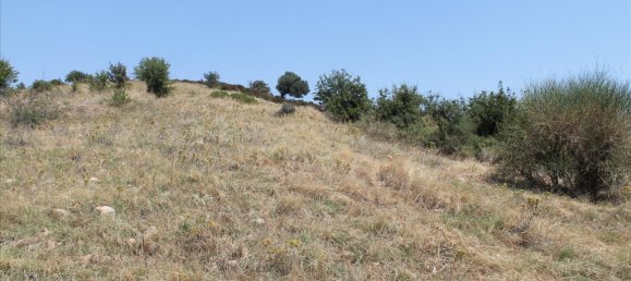 Hotel in Chalkidiki, Greece 8000m², Nr. 7593 10