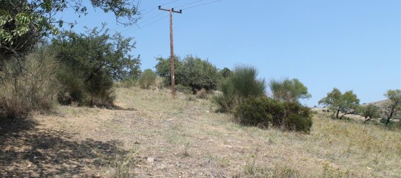 Hotel in Chalkidiki, Greece 8000m², Nr. 7593 5