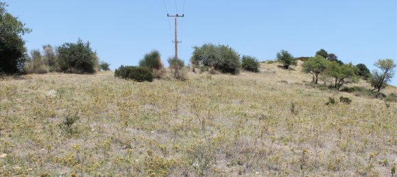 Hotel in Chalkidiki, Greece 8000m², Nr. 7593 3