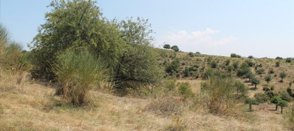 Hotel in Chalkidiki, Greece 8000m², Nr. 7593 11