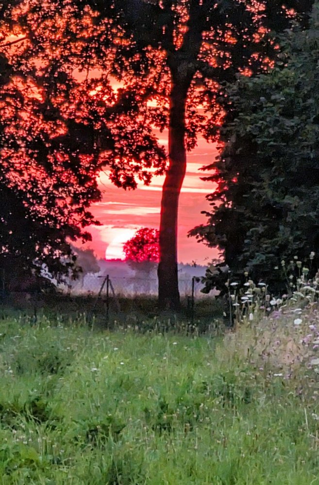  Land in Leer, Germany No. 222704