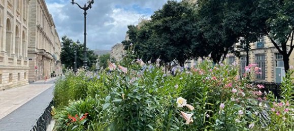 2 bedrooms Apartment in Bordeaux, France No. 277142 5