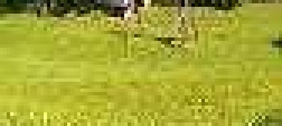 Grundstück in Tiefgraben, Austria 777m², Nr. 257830 5