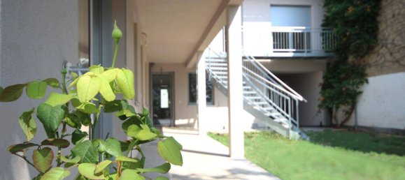 4 rooms Apartment in Weiden am See, Austria No. 141165 12