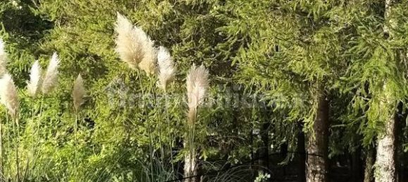 Villa T4 em Ventasso, Italy N.º 213038 13