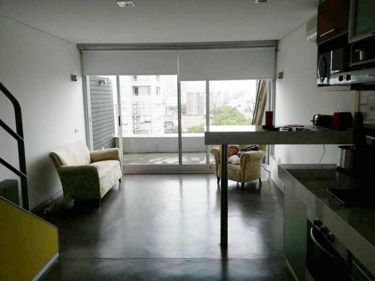 Studio in Palermo, Argentina, Nr. 70799