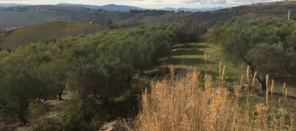 Вилла с 10 комнатами в Купелло, Италия № 234706 12