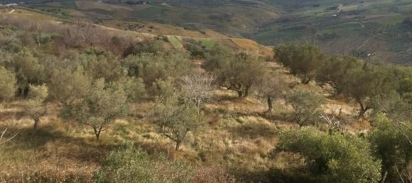 Вилла с 10 комнатами в Купелло, Италия № 234706 15