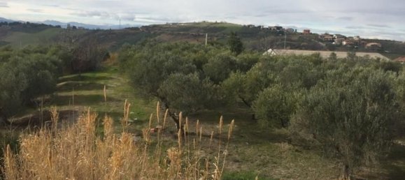 Вилла с 10 комнатами в Купелло, Италия № 234706 13