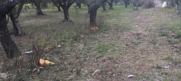 Вилла с 10 комнатами в Купелло, Италия № 234706 3