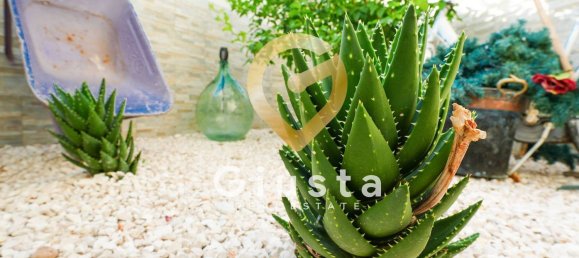 3 chambres Appartement à Mesagne, Italy No. 325440 29