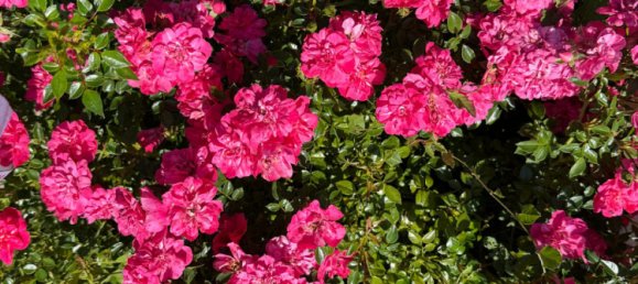 2 bedrooms House in Feldbach, Austria No. 201580 29