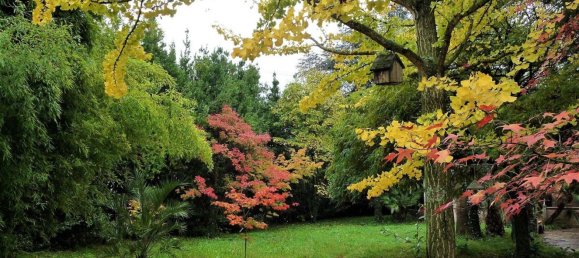 7 rooms Villa in Sarzana, Italy No. 251043 28