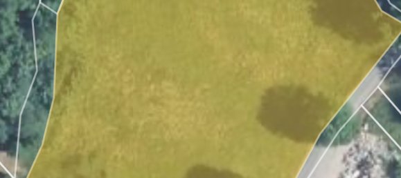 5810m² Land in La Bresse, France No. 45237 3