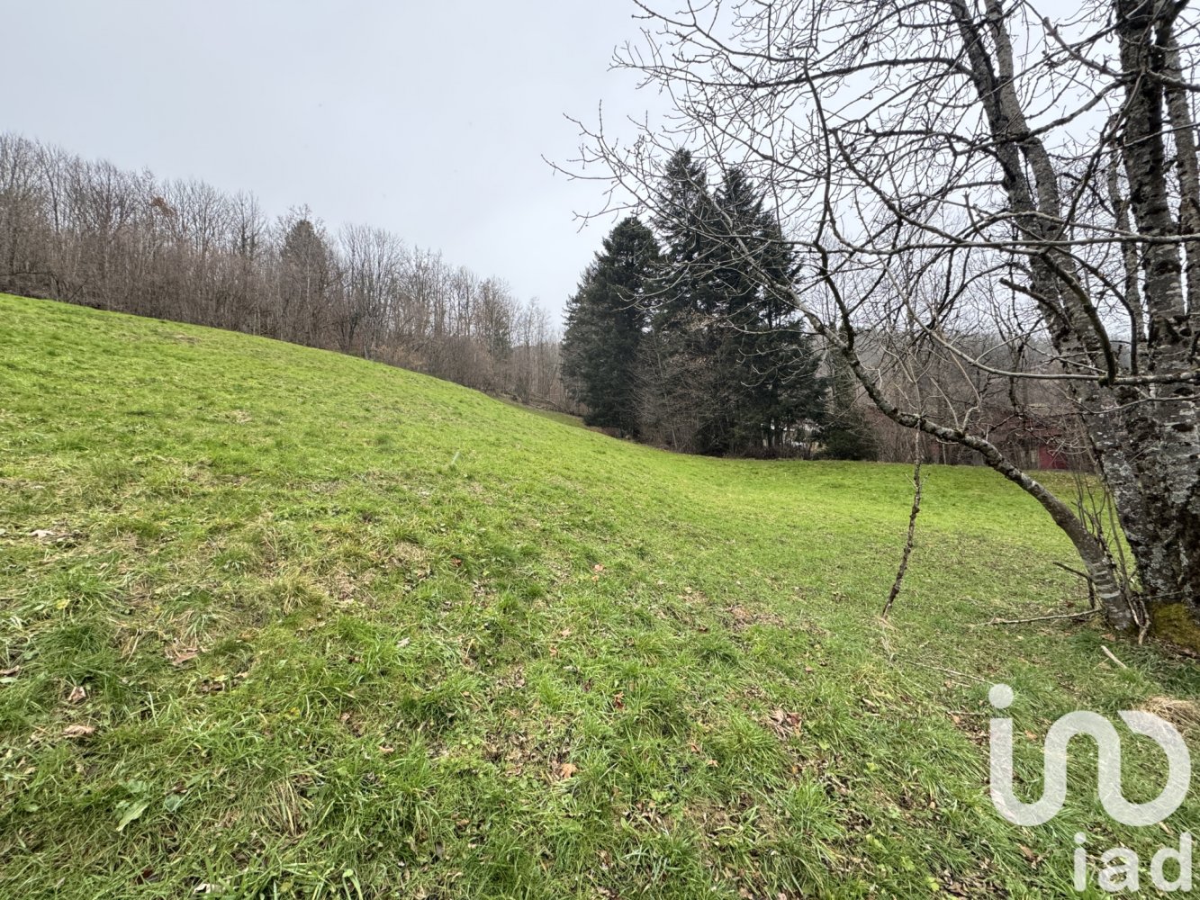 5810m² Land in La Bresse, France No. 45237