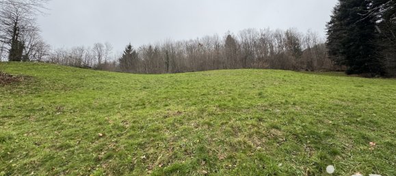 5810m² Land in La Bresse, France No. 45237 2