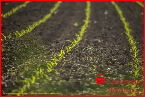  Land in Nienburg, Germany No. 360572