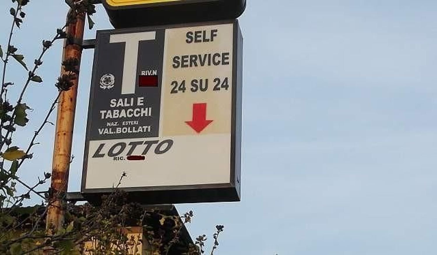 Gewerbliche Immobilie in Pisa, Italy 30m², Nr. 151322