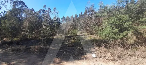  قطعة أرض في Agueda, Portugal رقم 89452 5