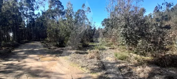  قطعة أرض في Agueda, Portugal رقم 89452 2