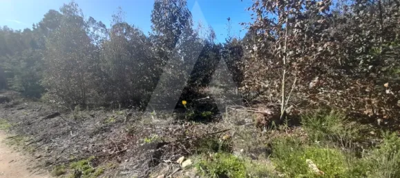  قطعة أرض في Agueda, Portugal رقم 89452 8