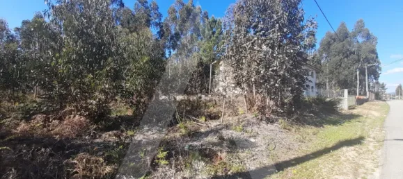  قطعة أرض في Agueda, Portugal رقم 89452 9