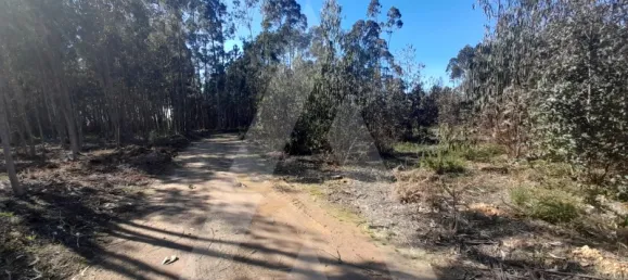  قطعة أرض في Agueda, Portugal رقم 89452 3