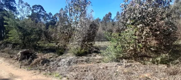  قطعة أرض في Agueda, Portugal رقم 89452 6