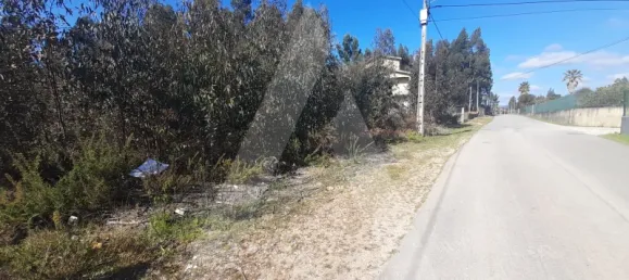  قطعة أرض في Agueda, Portugal رقم 89452 10