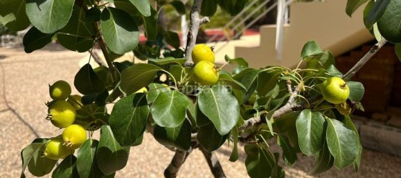 Дом с 7 спальнями в Бенидорм, Испания № 54678 35