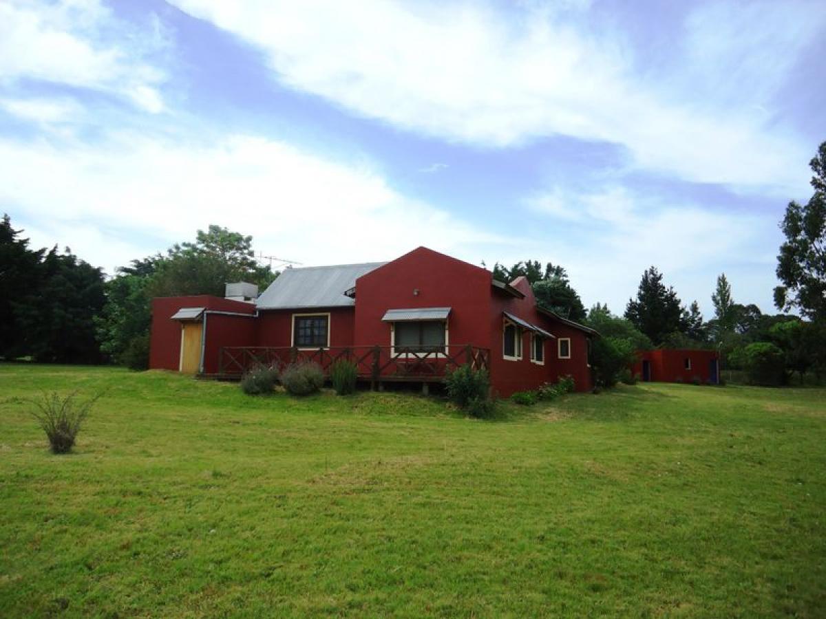  Farm in Maldonado, Uruguay No. 14137