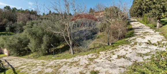 12 rooms Villa in Serra San Quirico, Italy No. 13711 23