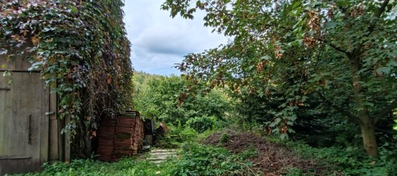 8 rooms House in Hoxter, Germany No. 230757 8