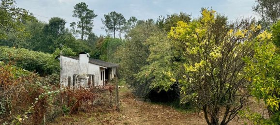 3 bedrooms House in Friestas, Portugal No. 17881 12