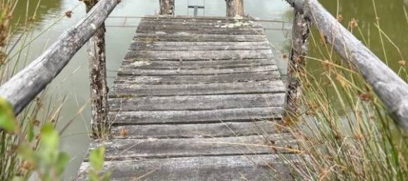 9376m² Land in Correze, France No. 336758 5