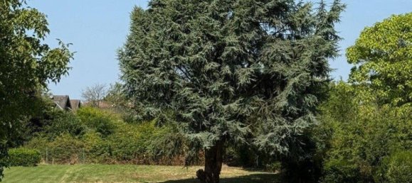 3 bedrooms Farm in Rhein-Sieg, Germany No. 341144 26