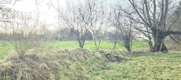 3 rooms House in Dithmarschen, Germany No. 46778 7