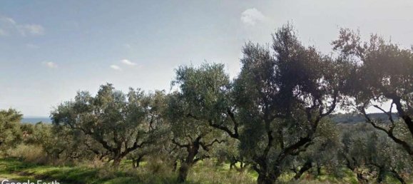 قطعة أرض في Zakynthos, Greece رقم 480 4