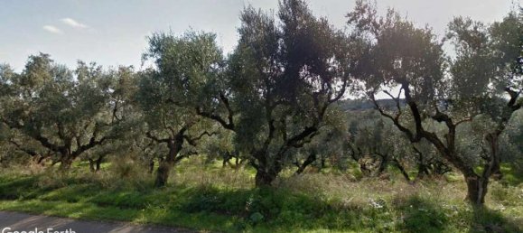 قطعة أرض في Zakynthos, Greece رقم 480 2