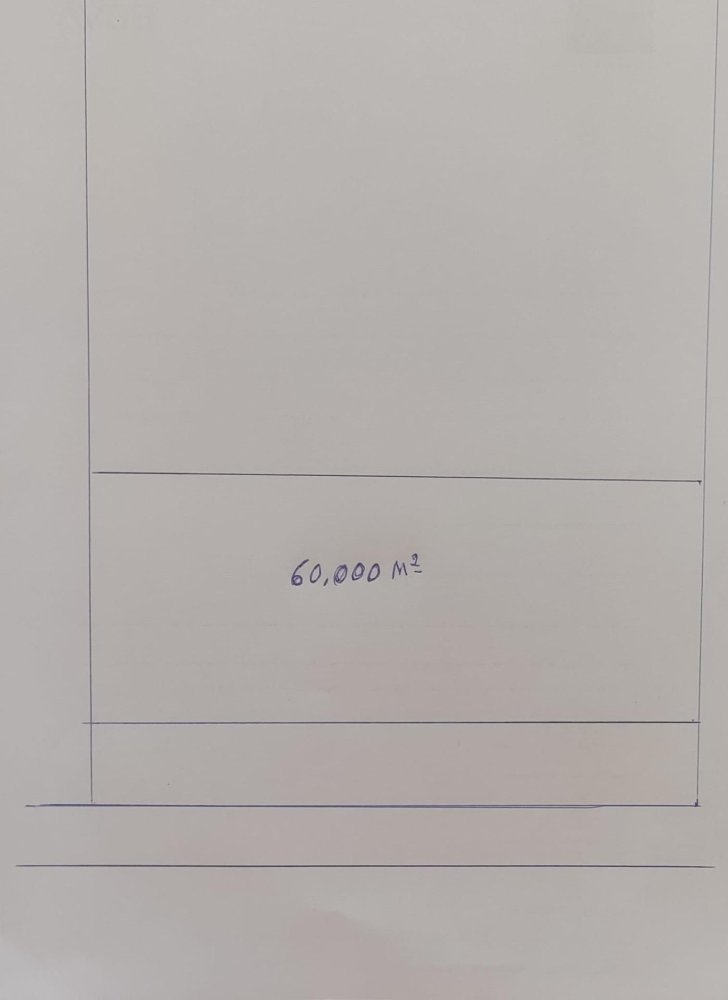 Grundstück in Rojales, Spain 60000m², Nr. 246572