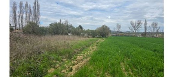 Terrain à Cappelle sul Tavo, Italy 1050m² No. 275928 2